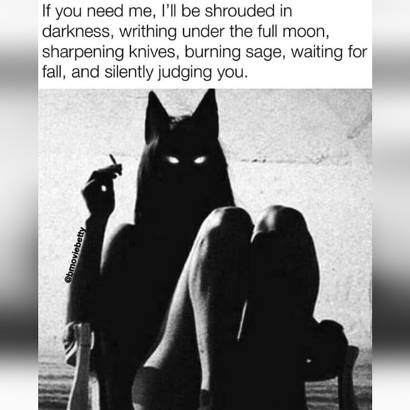 Meet your Posher, Sarah - Picture 3 of 11